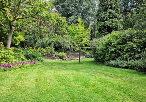 Optimiser l'expérience du jardin à Montboillon