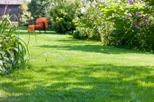 travaux jardin et paysage Montboillon